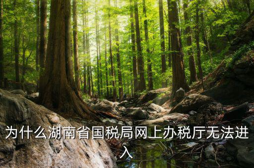 為什么湖南省國稅局網上辦稅廳無法進入