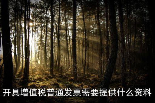 開(kāi)增值稅提供什么資料，開(kāi)具增值稅普通發(fā)票需要提供什么資料
