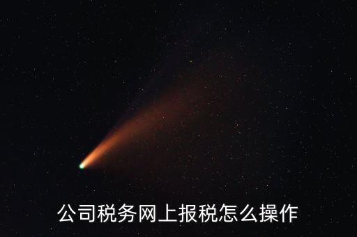 企業報稅登什么網站，企業稅務申報去哪個網站