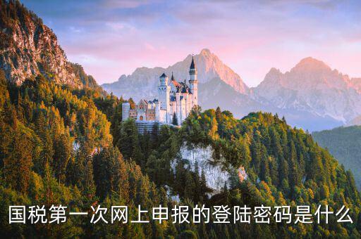 國稅網報口令是什么，國稅第一次網上申報的登陸密碼是什么