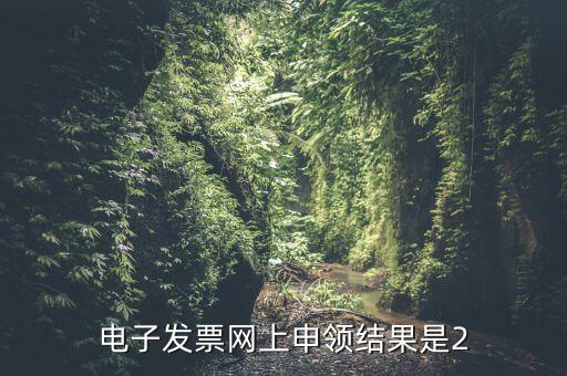 電子發票網上申領結果是2