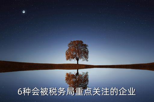 6種會被稅務局重點關注的企業