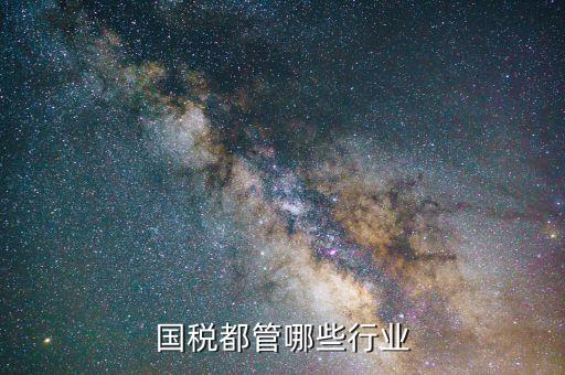 國稅都管哪些行業