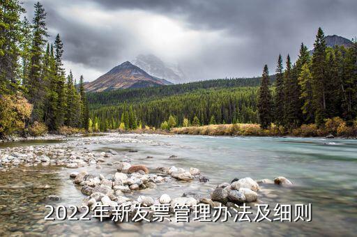 2022年新發票管理辦法及細則