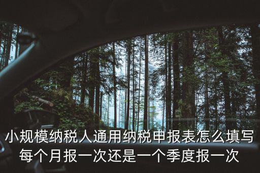 小規模納稅人通用納稅申報表怎么填寫每個月報一次還是一個季度報一次