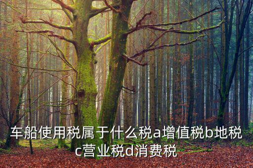 車船使用稅屬于什么稅a增值稅b地稅c營業稅d消費稅