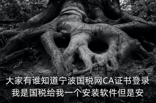 大家有誰知道寧波國稅網CA證書登錄我是國稅給我一個安裝軟件但是安