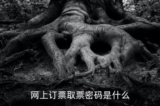 網絡發票密碼是什么，發票上密碼有什么用