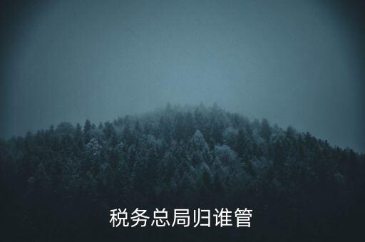 什么部門監管國稅務局，稅務局最怕什么部門