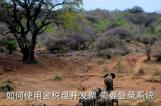 金稅盤要求什么系統，稅控發票開票軟件 需要什么系統