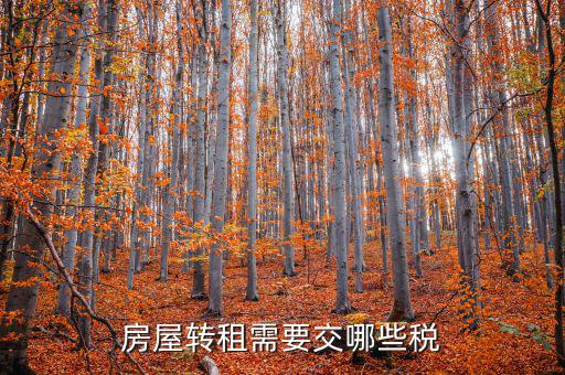轉租房屋需要交什么稅，房屋轉租需要交哪些稅