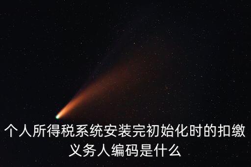 個人所得稅系統安裝完初始化時的扣繳義務人編碼是什么