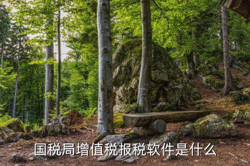 網(wǎng)上報稅國稅什么小工具，如何在網(wǎng)上報稅國稅 要怎么操作