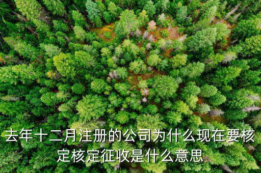 為什么核定征收收據，查賬征收為什么會轉為核定征收