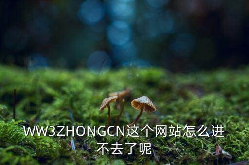 WW3ZHONGCN這個網站怎么進不去了呢