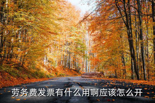 勞務費發票有什么用啊應該怎么開