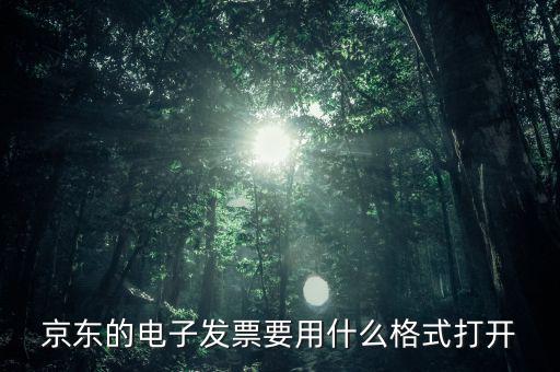 京東的電子發票要用什么格式打開