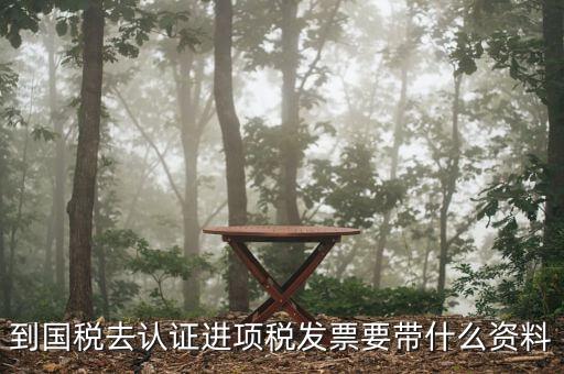 常州國稅認證發票需要帶什么，到國稅認證發票時需要帶什么資料