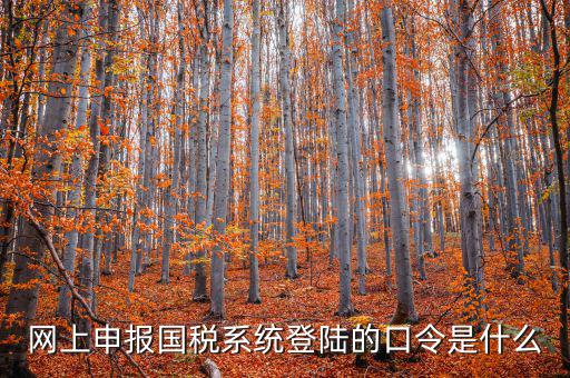 國稅網報口令是什么意思，網上申報國稅系統登陸的口令是什么