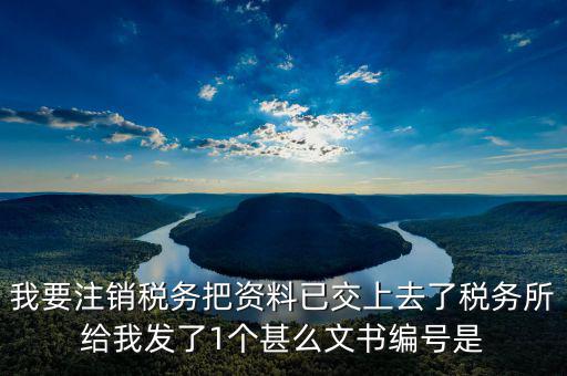 我要注銷稅務把資料已交上去了稅務所給我發了1個甚么文書編號是