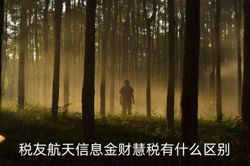 稅友航天信息金財慧稅有什么區別