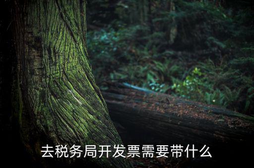 紹興市國稅購增值稅發票需要帶什么，到稅務局開增值稅專用發票帶什么