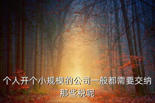 個人開辦水廠需要什么稅，自來水公司的水廠要交房產稅和土地使用稅嗎
