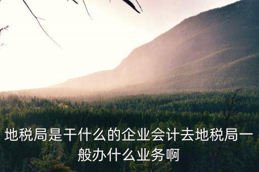 地稅局是干什么的企業會計去地稅局一般辦什么業務啊