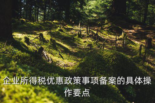 企業所得稅優惠政策事項備案的具體操作要點