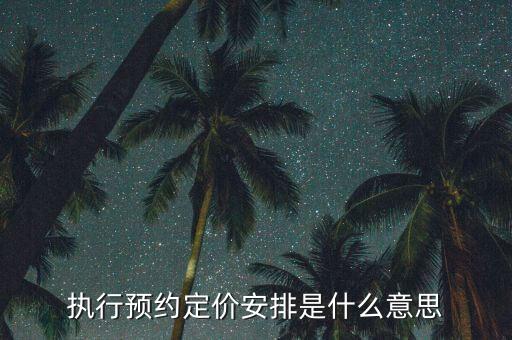 執行預約定價安排是什么意思