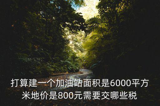 加油站都繳什么稅，打算建一個加油站面積是6000平方米地價是800元需要交哪些稅