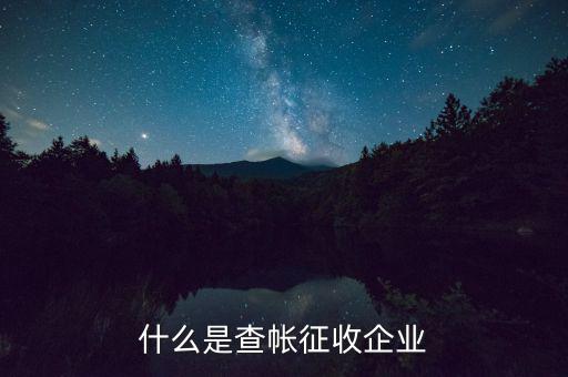 什么是查帳征收企業