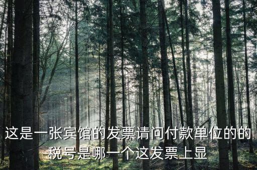 這是一張賓館的發票請問付款單位的的稅號是哪一個這發票上顯