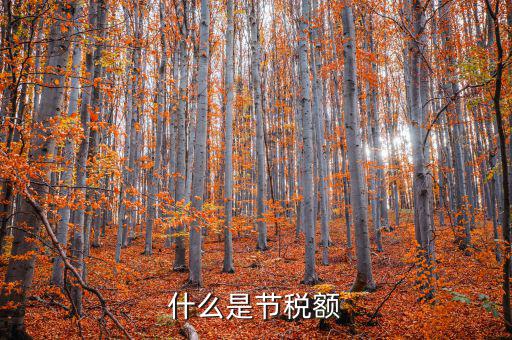 什么是節稅額