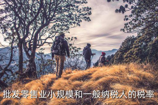 批發零售業小規模和一般納稅人的稅率