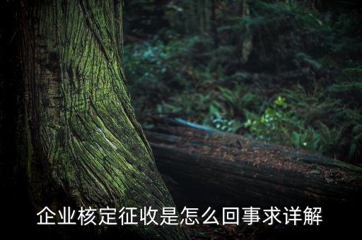 企業核定征收是怎么回事求詳解