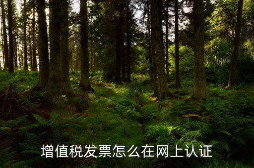 發票認證需要什么軟件下載，國稅發票認證需要準備那些資料 到大廳辦的時候工作人員叫我拿U盤
