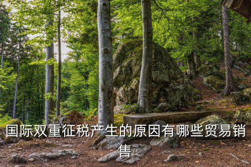 志信稅是什么原因，買房子經(jīng)常提到有無雙稅雙稅是什么