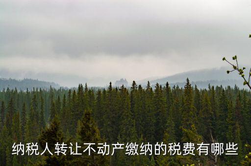 轉讓不動產交什么稅，納稅人轉讓不動產繳納的稅費有哪些