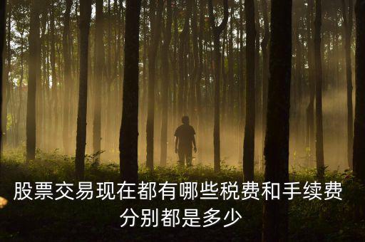 賣出股票要交什么稅，營改增后企業買賣股票應按照什么稅目繳納增值稅