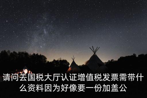 請問去國稅大廳認證增值稅發票需帶什么資料因為好像要一份加蓋公