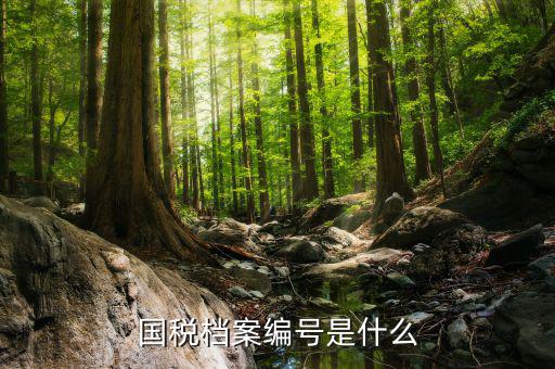 蘇州國稅局地區編號是什么，國稅檔案編號是什么