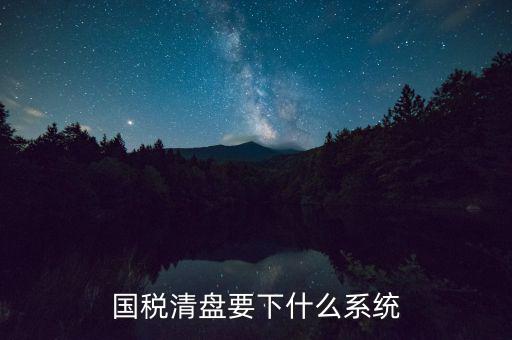 國稅清盤要下什么系統