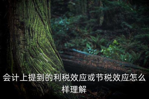 節稅效應是節的什么稅，什么是節稅額