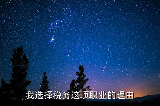 我選擇稅務這項職業的理由