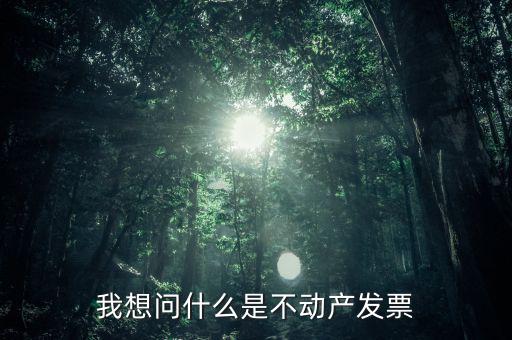 我想問什么是不動產發票