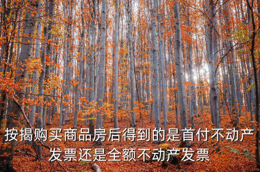 什么是全額不動產發票，想問一下購房全額發票到底是什么的侯才開是在交房的時侯還是辦