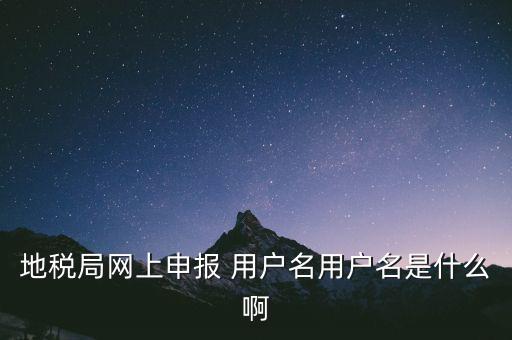 地稅局網上申報 用戶名用戶名是什么啊