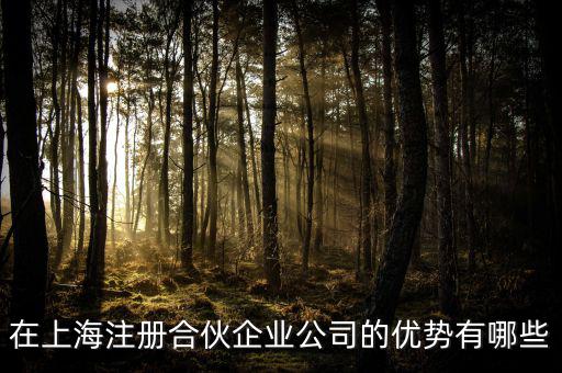 在上海注冊合伙企業公司的優勢有哪些