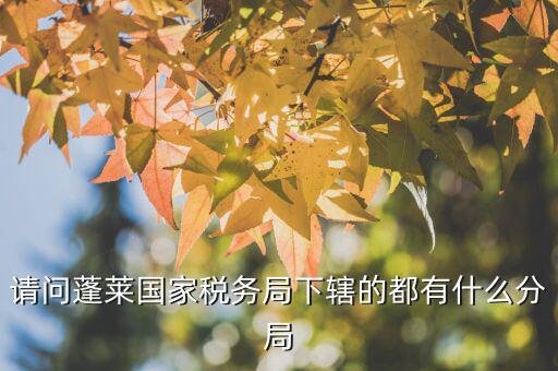 國稅局分局有什么，豐縣國稅局有幾個分局